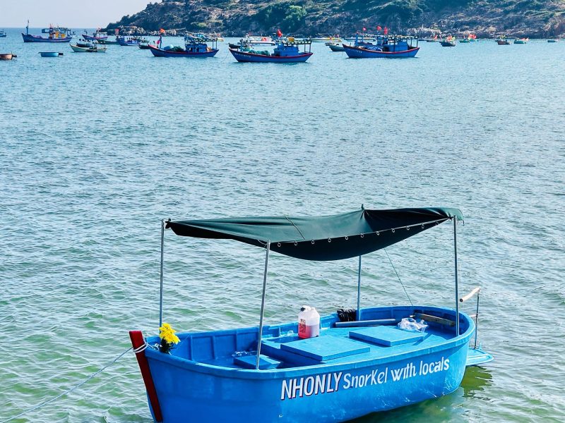 Logo snorkeling