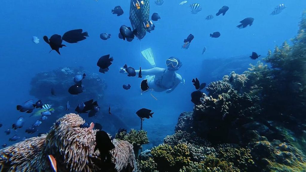 Underwater GoPro photo during the Ky Co Snorkeling Tour