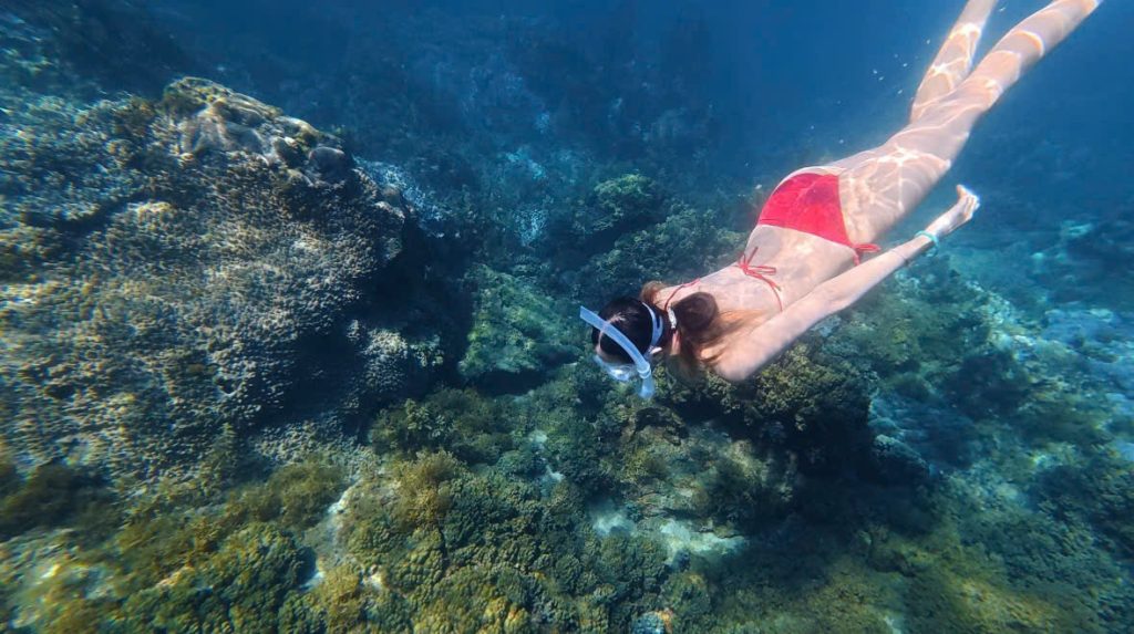 Bai Dua Reef Conservation Area