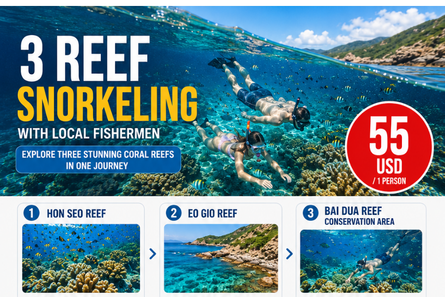 3 Reef Snorkeling Quy Nhon